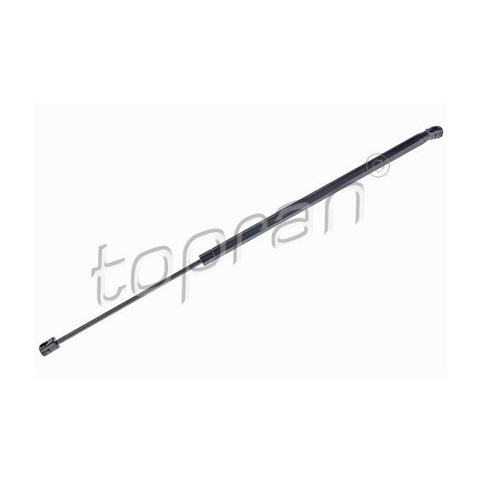 Vérin Hayon de Coffre Pour BMW X3 F25 51247211289