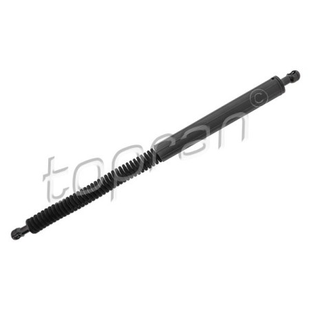 Vérin Hayon de Coffre Arrière Gauche Pour BMW X3 F97, G01, G08 51247497482