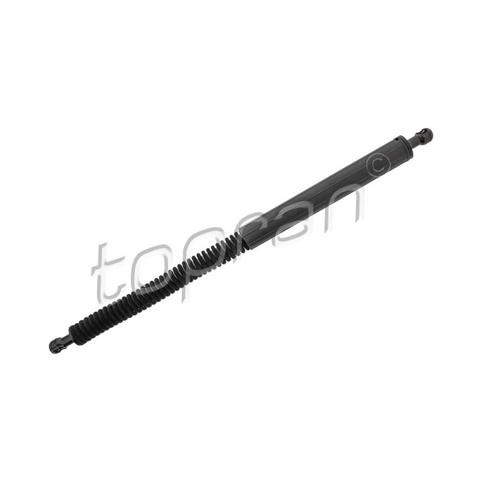 Vérin Hayon de Coffre Arrière Gauche Pour BMW X3 F97, G01, G08 51247497482