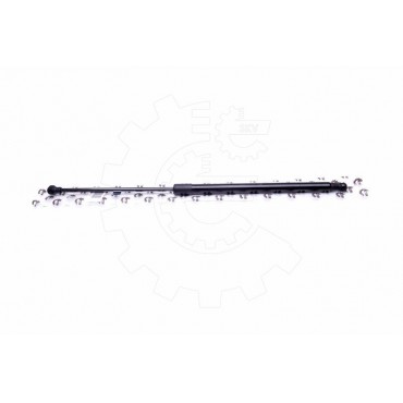 Vérin Hayon de Coffre Pour BMW X5 E53 51248402405