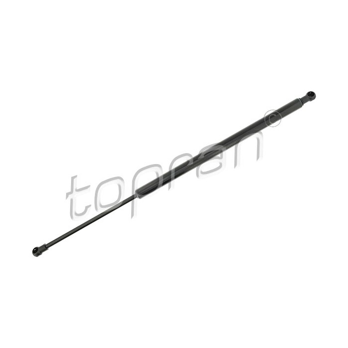 Vérin Hayon de Coffre Pour BMW X5 E53 51248402405
