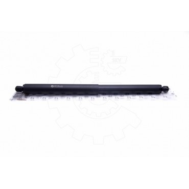 Vérin Hayon de Coffre Pour BMW X5 E70 51247177283 51247294199