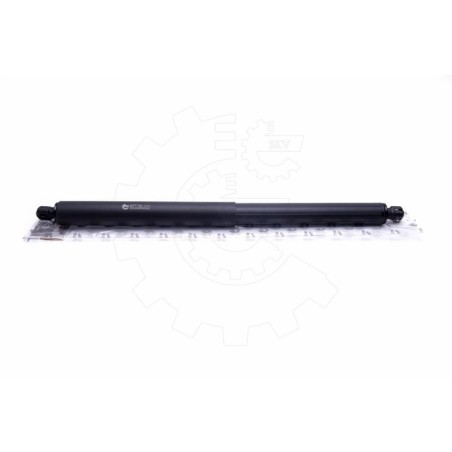 Vérin Hayon de Coffre Pour BMW X5 E70 51247177283 51247294199