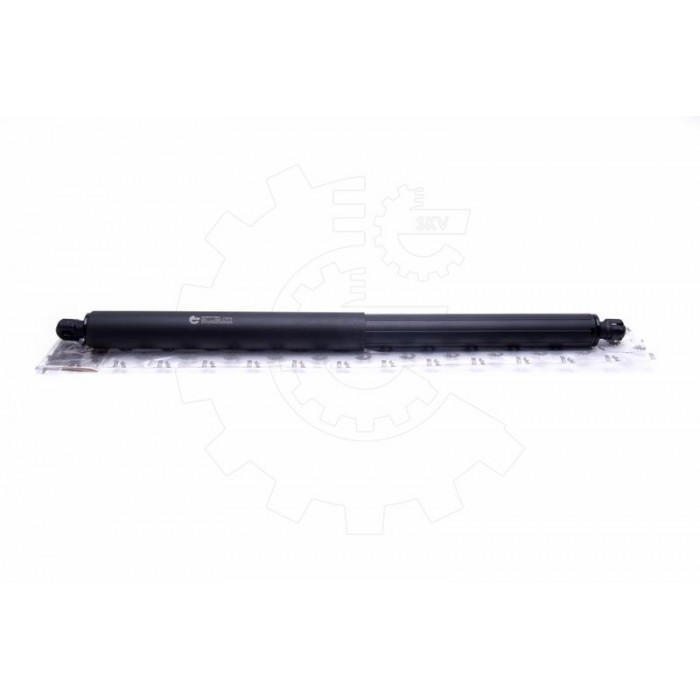 Vérin Hayon de Coffre Pour BMW X5 E70 51247177283 51247294199