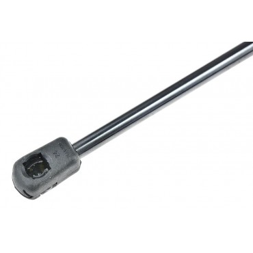 Vérin Hayon de Coffre Pour BMW X5 E70 51247294199
