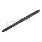 Vérin Hayon de Coffre Pour BMW X5 E70 51247177283 51247294199