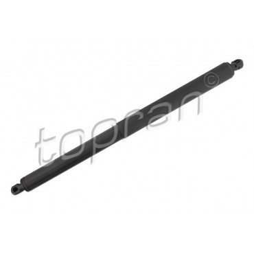 Vérin Hayon de Coffre Pour BMW X5 E70 51247177283 51247294199