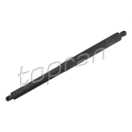 Vérin Hayon de Coffre Pour BMW X5 E70 51247177283 51247294199