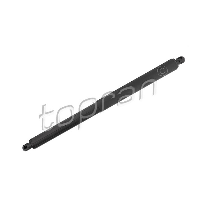 Vérin Hayon de Coffre Pour BMW X5 E70 51247177283 51247294199