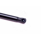 Vérin Hayon de Coffre Pour Chevrolet Spark Daewoo Matiz 96563503