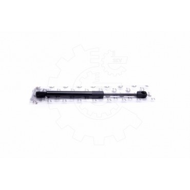 Vérin Hayon de Coffre Pour Chrysler 300 C 04589589AA 04589618AA 05065659AA