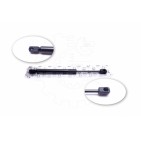 Vérin Hayon de Coffre Pour Chrysler 300 C 04589589AA 04589618AA 05065659AA
