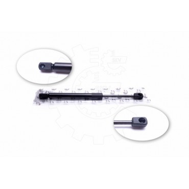 Vérin Hayon de Coffre Pour Chrysler 300 C 04589589AA 04589618AA 05065659AA