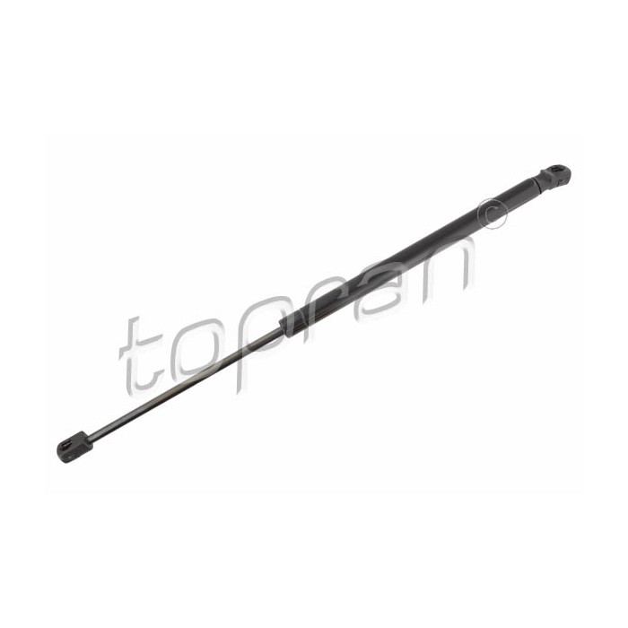 Vérin Hayon de Coffre Pour Peugeot Citroën Mitsubishi 8731Q1 5802A303 8731Q2