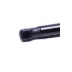 Vérin Hayon de Coffre Pour Peugeot Fiat Citroën 1608899680 1354844080 8731V0