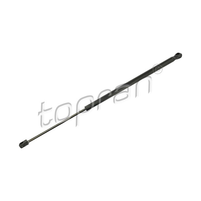 Vérin Hayon de Coffre Pour Peugeot Fiat Citroën 1608899680 1354844080 8731V0
