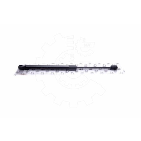 Vérin Hayon de Coffre Pour Renault Duster Dacia Duster 904520004R 904521364R