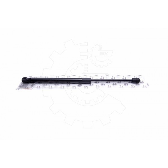 Vérin Hayon de Coffre Pour Renault Duster Dacia Duster 904520004R 904521364R
