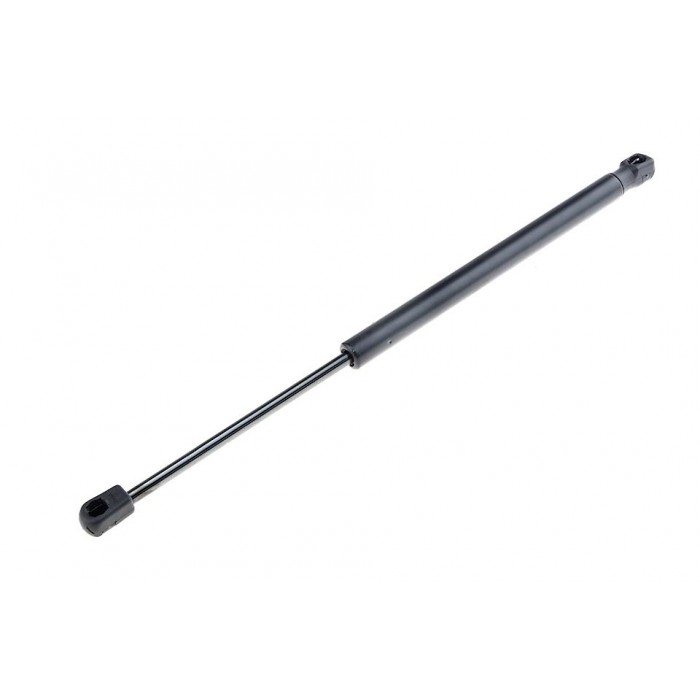 Vérin Hayon de Coffre Pour Renault Dacia Duster Nissan 904521364R 904520004R