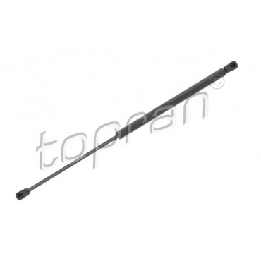 Vérin Hayon de Coffre Pour Renault Sandero Dacia Sandero 8200735264