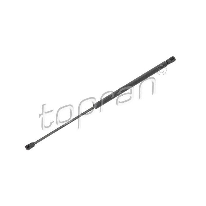Vérin Hayon de Coffre Pour Renault Sandero Dacia Sandero 8200735264