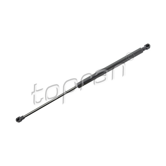 Vérin Hayon de Coffre Pour Renault Sandero Dacia Sandero II 904529943R