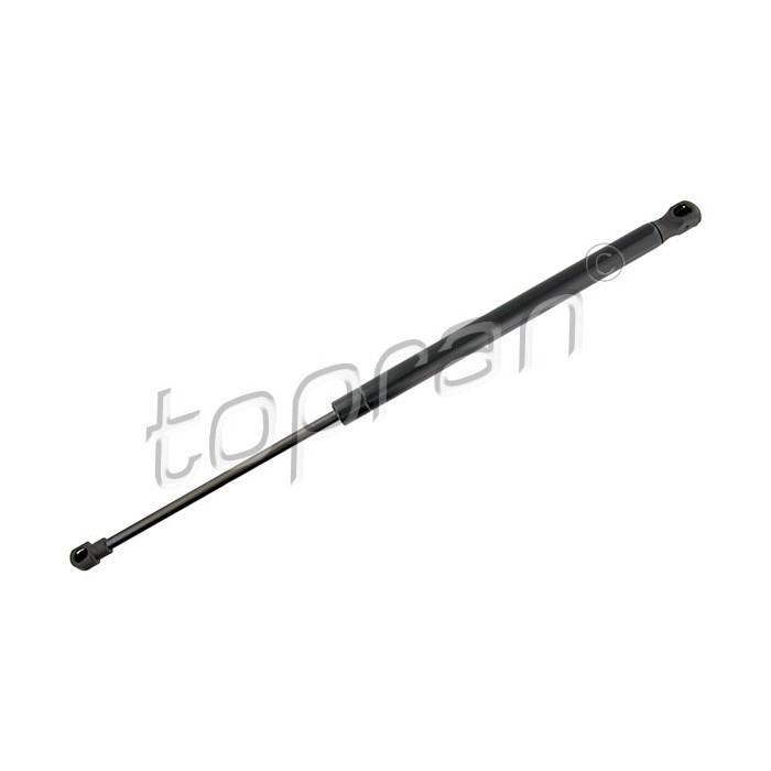  X2 Vérin Hayon Coffre pour Fiat 500 (312) (10/07-)