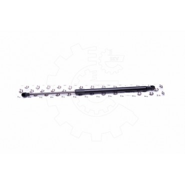 Vérin Hayon de Coffre Pour Fiat 500 51785412