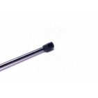 Vérin Hayon de Coffre Pour Opel Fiat Vauxhall 132095 51313295 132097 51813671