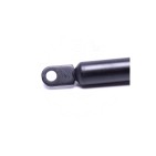 Vérin Hayon de Coffre Pour Seat Marbella Fiat Panda 7550172