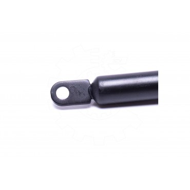 Vérin Hayon de Coffre Pour Seat Marbella Fiat Panda 7550172