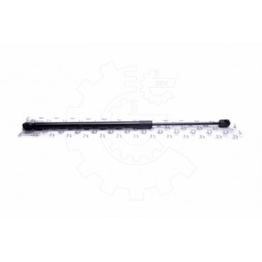 Vérin Hayon de Coffre Arrière Gauche Pour Ford Ecosport 1793246 2181156