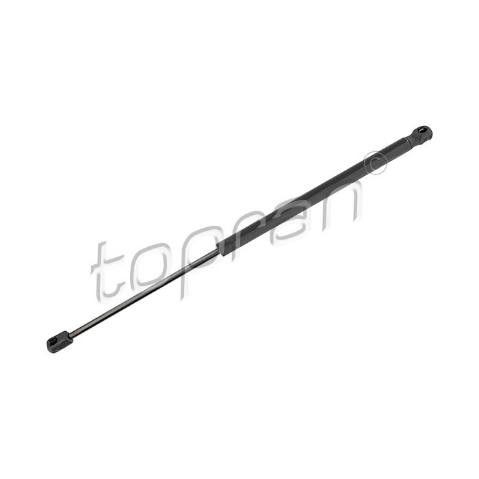 Vérin Hayon de Coffre Pour Ford Ecosport 2085759 2181156 FN15N400A12AA