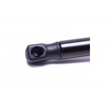 Vérin Hayon de Coffre Pour Ford Fiesta V 2S61B406A10AC