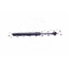 Vérin Hayon de Coffre Pour Ford Focus 1071732 1072394 1092108 1114031 1124003