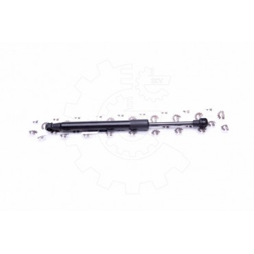 Vérin Hayon de Coffre Pour Ford Focus 1071732 1072394 1092108 1114031 1124003