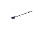 Vérin Hayon de Coffre Pour Ford Focus Turnier 1071669 1079800 1093705