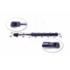 Vérin Hayon de Coffre Pour Ford Focus II 1336159 1376673 1692162 5M51F406A10AB