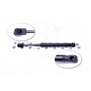 Vérin Hayon de Coffre Pour Ford Focus II 1336159 1376673 1692162 5M51F406A10AB
