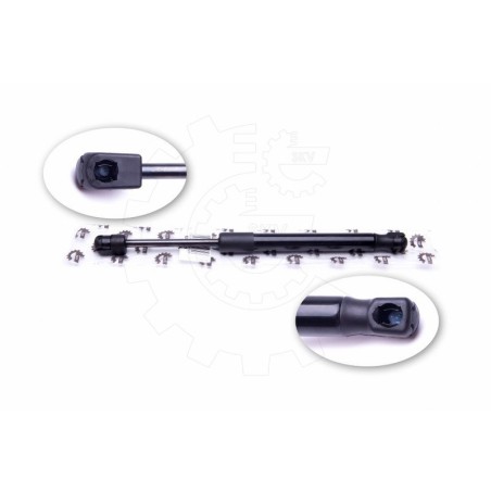 Vérin Hayon de Coffre Pour Ford Focus II 1336159 1376673 1692162 5M51F406A10AB