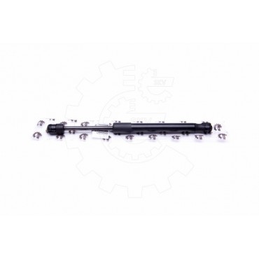Vérin Hayon de Coffre Pour Ford Focus II 1336159 1376673 1692162 5M51F406A10AB