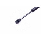 Vérin Hayon de Coffre Pour Ford Focus II 1336159 1376673 1692162 5M51F406A10AB