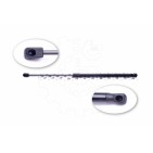 Vérin Hayon de Coffre Pour Ford Focus II 1336230 1349309 1539291 1684275