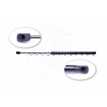 Vérin Hayon de Coffre Pour Ford Focus II 1336230 1349309 1539291 1684275