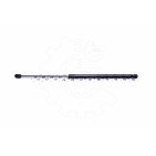 Vérin Hayon de Coffre Pour Ford Focus II 1336230 1349309 1539291 1684275