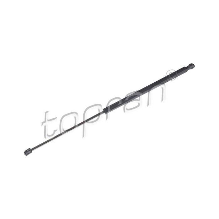 Vérin Hayon de Coffre Pour Ford Kuga I 1537538 1684709 1729322 8V41S406A10AD