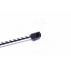 Vérin Hayon de Coffre Pour Ford Maverick 4795798 7L847842104AA 7L847842105AA