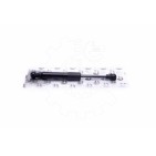 Vérin Hayon de Coffre Pour Ford Street KA 1225361 32734074AAO 3S51B406A10AA