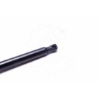 Vérin Hayon de Coffre Pour Renault Mercedes-Benz Ford 8200497806 4159800064