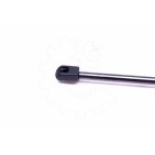 Vérin Hayon de Coffre Pour Ford Transit 1C15V406A10AD 1C15V406A10EA 4346105